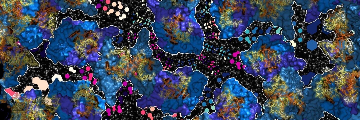 claraya's profile banner image