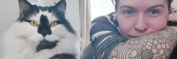 Catmoo Profile Banner