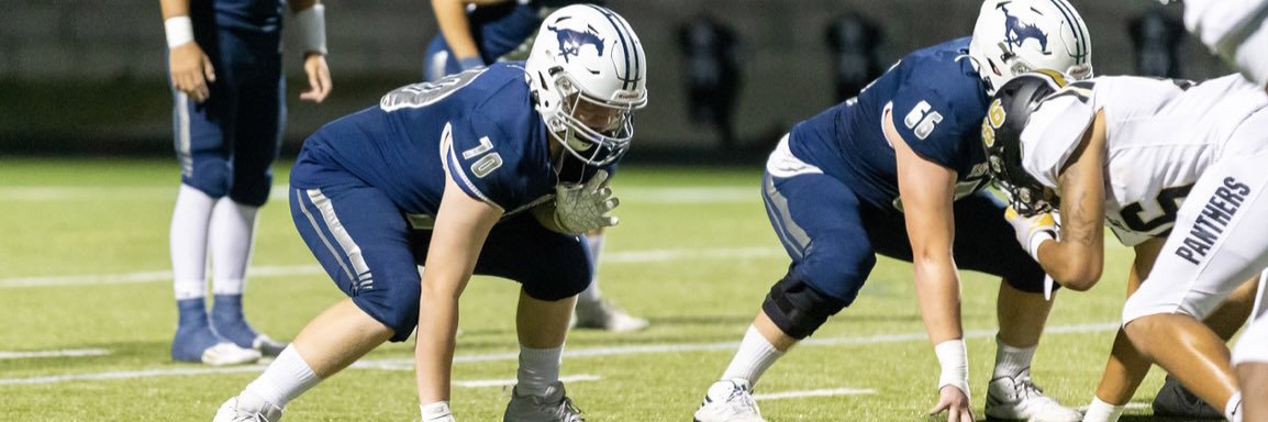 Davis Weber banner