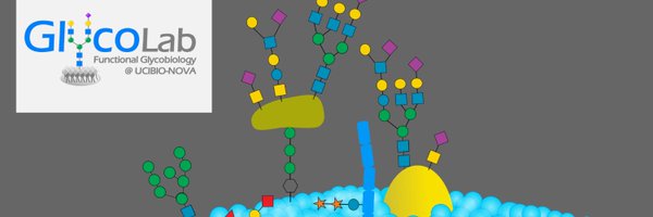 Glycolab2 Profile Banner