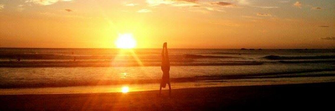 Julia Allison banner