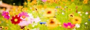 shyam_ad's profile banner image