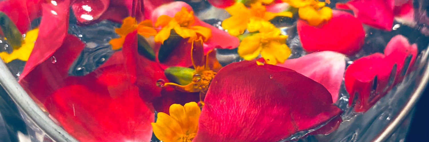 AnissaReka's profile banner image