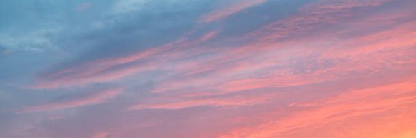 Francessca_May Profile Banner