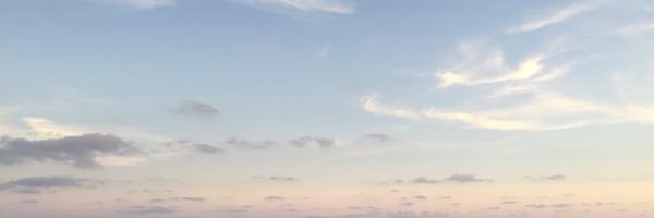 schneider Profile Banner