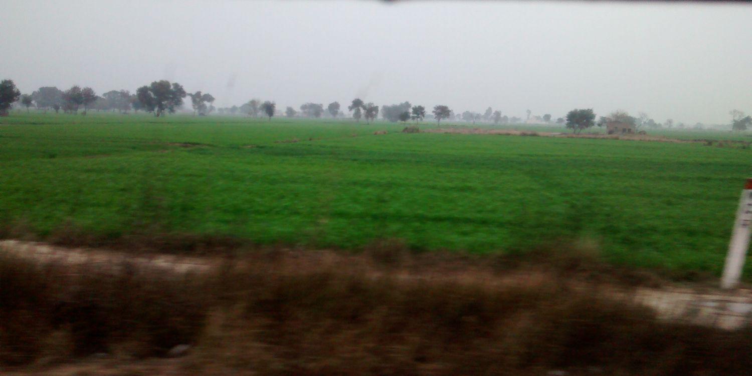 its_Krishna_D's profile banner image