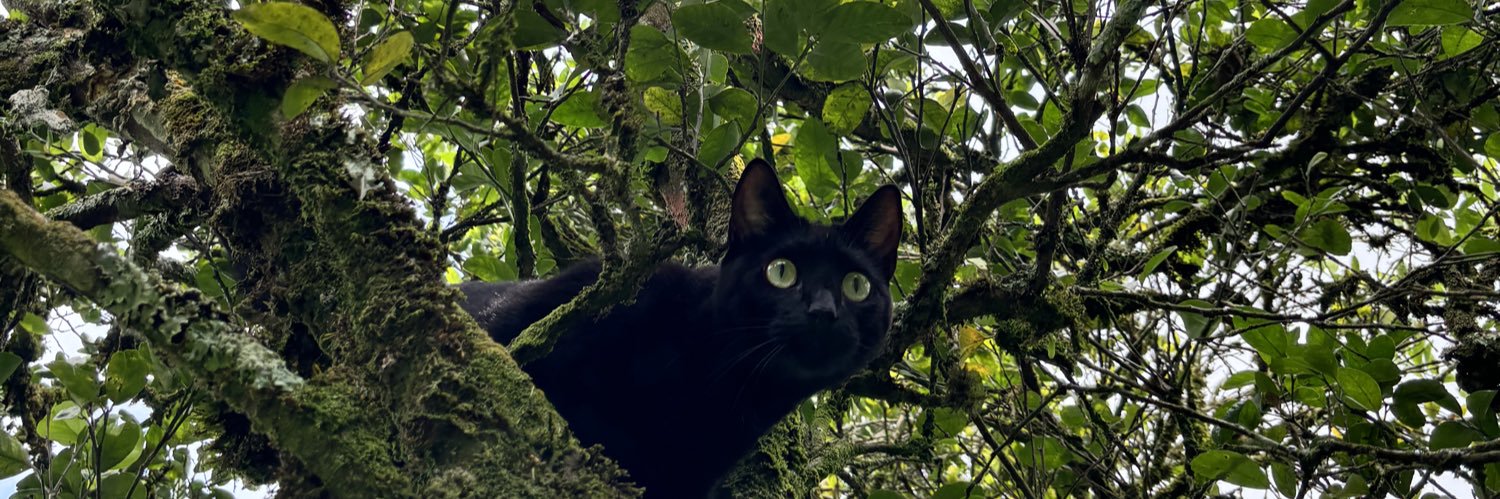 Jenny Echeverri H. banner