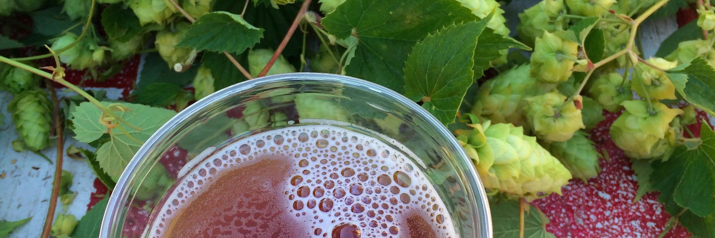 Daughters of Beer banner