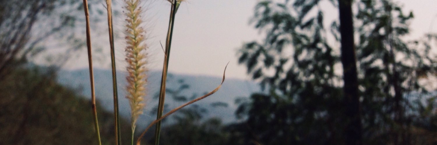MoleNotRat's profile banner image