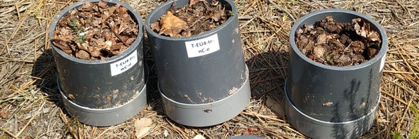 gradcatch Profile Banner