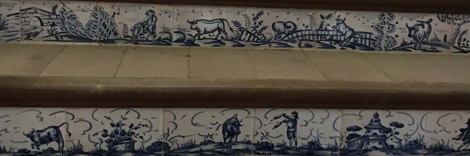 MariaVegaCata's profile banner image