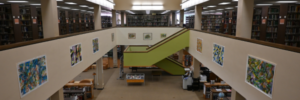 NielsenLibrary's profile banner image