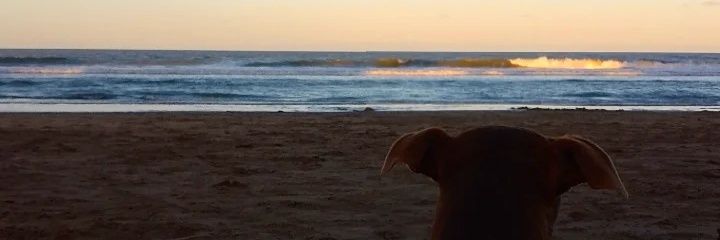 malena_arandaa's profile banner image
