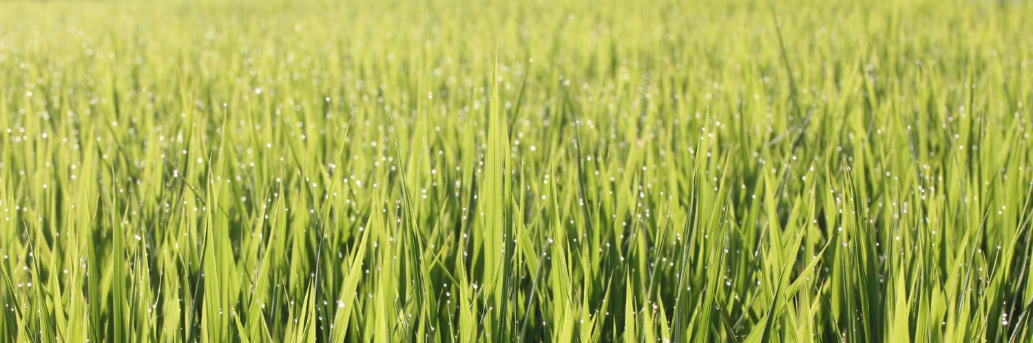 山本"Denske"泰照 banner