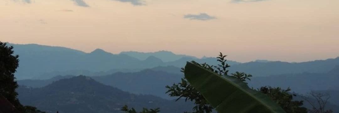 Kath_orac's profile banner image