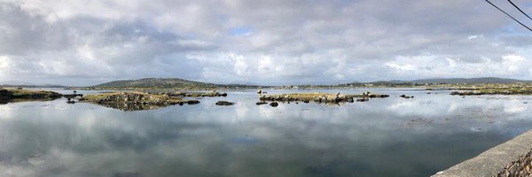 kscanne Profile Banner