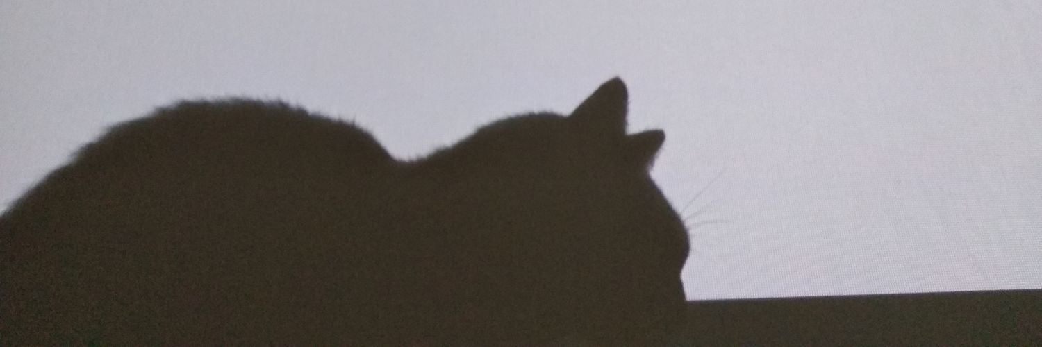 facuuestiga's profile banner image