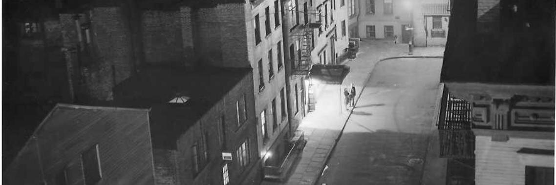 Jen van der Meer banner