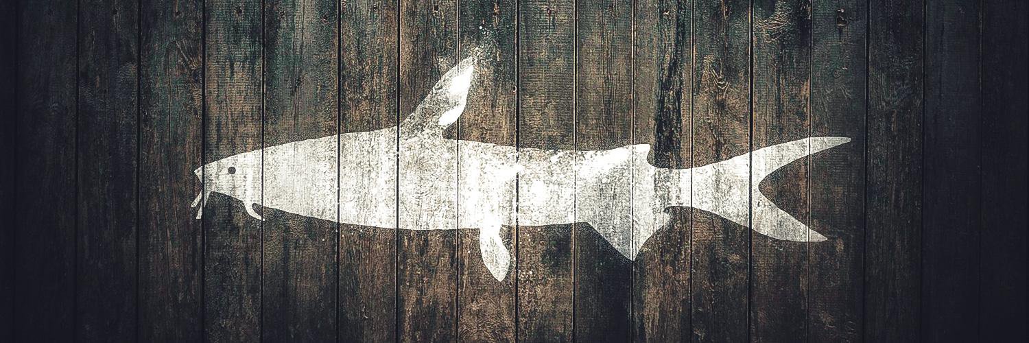 TheWhiteCatfish's profile banner image