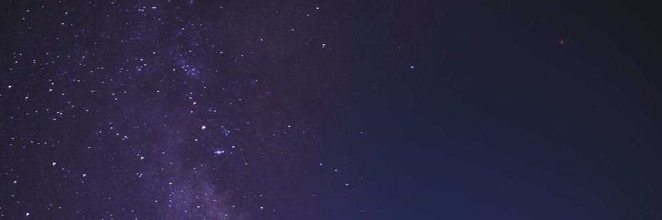 LonelyPan481's profile banner image