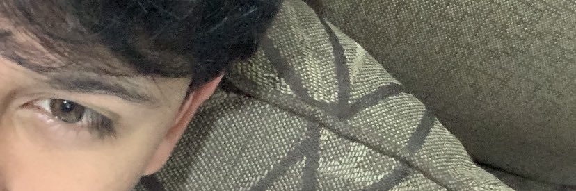 Iannseg's profile banner image