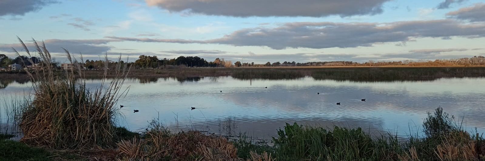 Jerzy Wołyński banner
