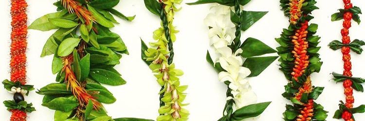 MAHANA_HT's profile banner image