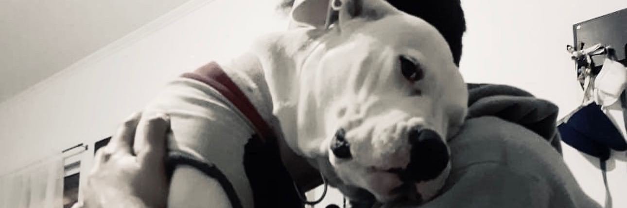 drafteado09's profile banner image