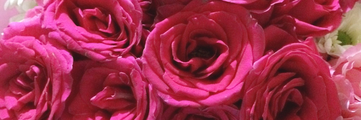 jeanidelyani's profile banner image