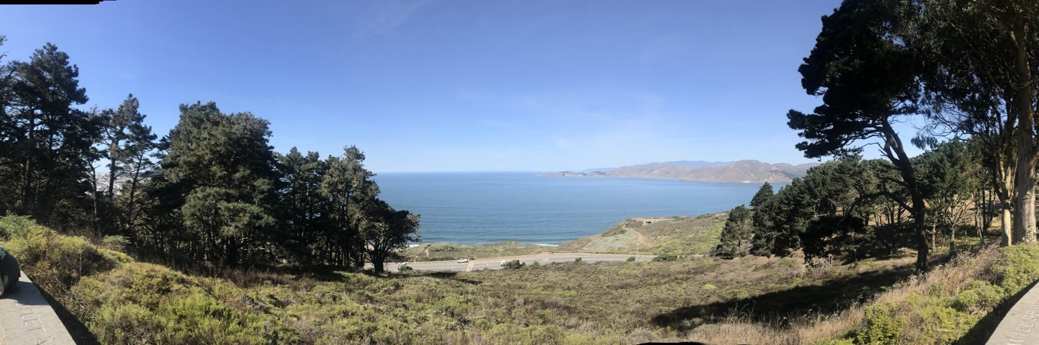 Robert Murray 🇯🇲🇺🇸 banner