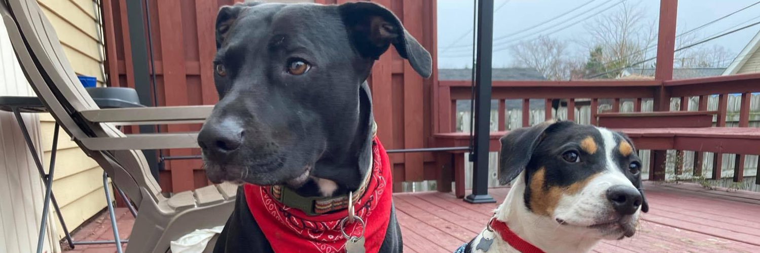 ANDЯEW WELLS banner