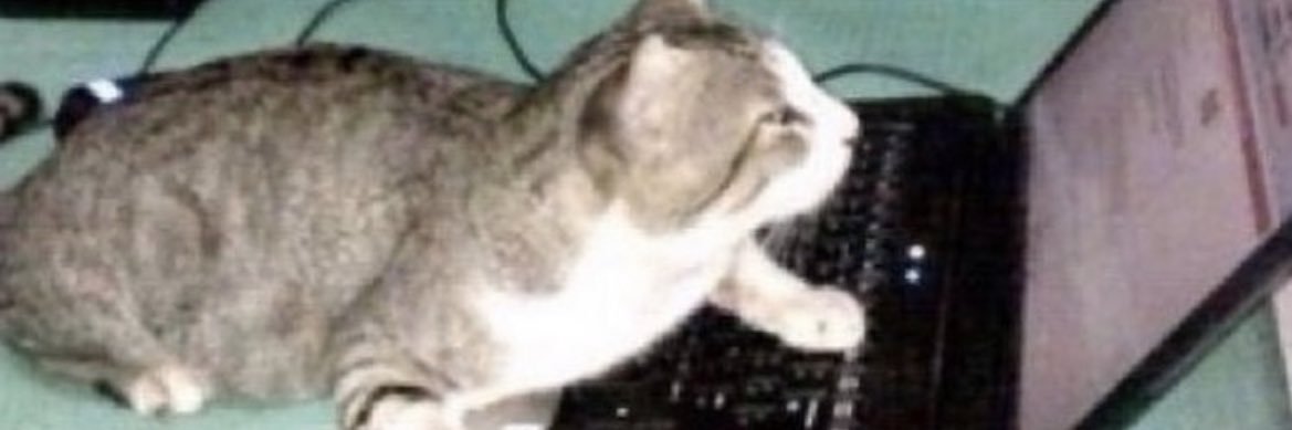 _onmyputer's profile banner image
