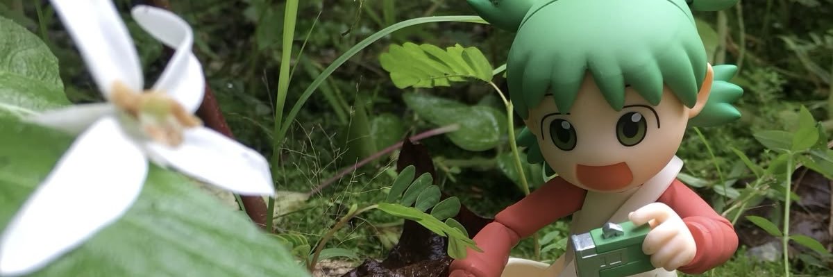 ໒꒰ྀི´ ˘ ` ꒱ྀིა banner