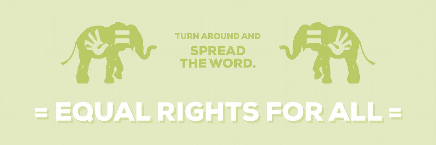 equalitatis4all's profile banner image