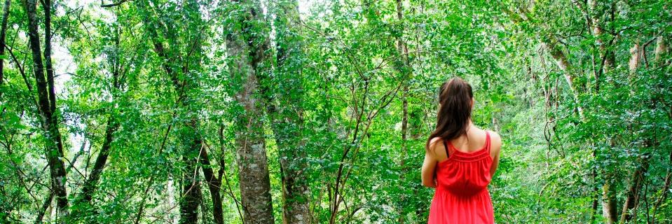 SasMichele's profile banner image
