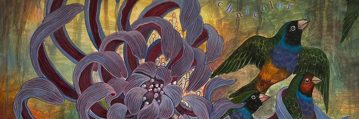 HipRapfire's profile banner image