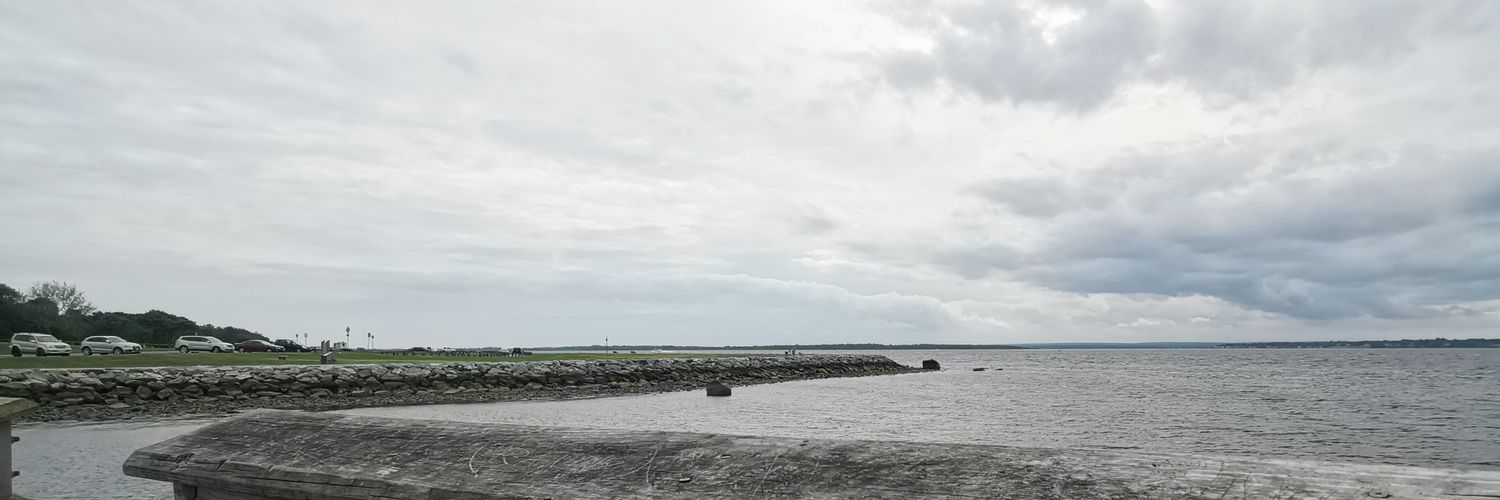 Mohammad Redwan banner