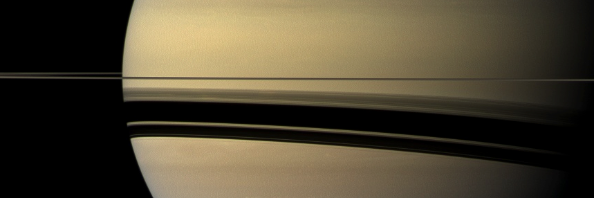 long nguyen banner