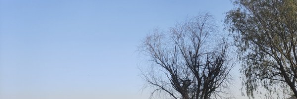 SonyWallet Profile Banner
