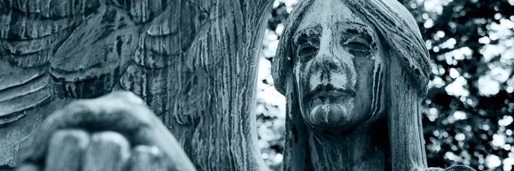 stradamax's profile banner image