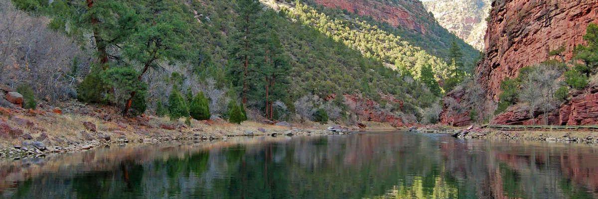 Brian G. Merrell banner