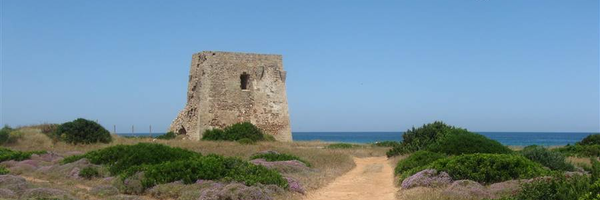 dinoflore Profile Banner