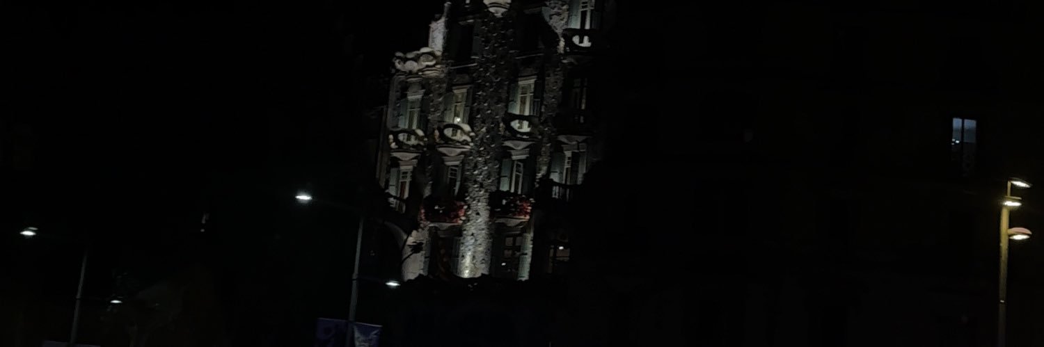 selwopa's profile banner image