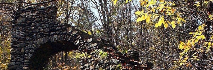 hansd's profile banner image