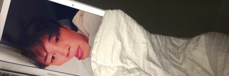 🌻 banner
