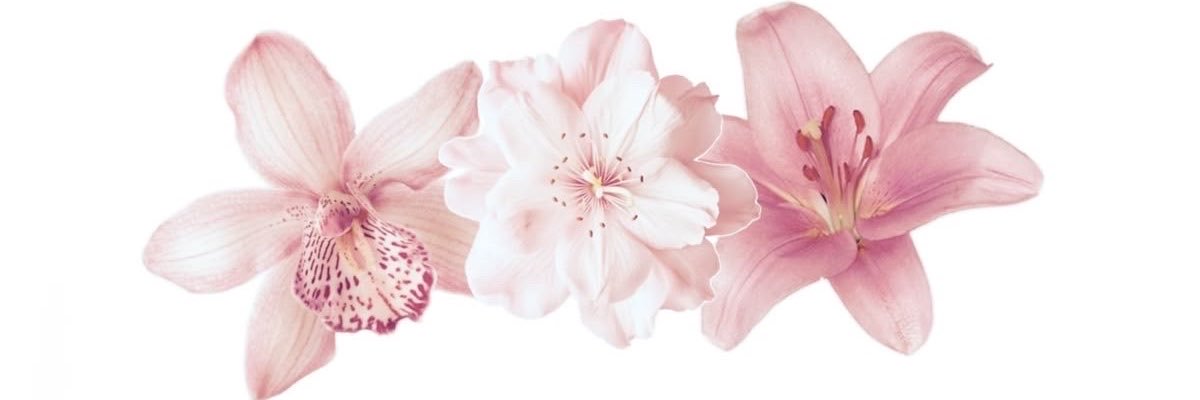mcdfluryx's profile banner image