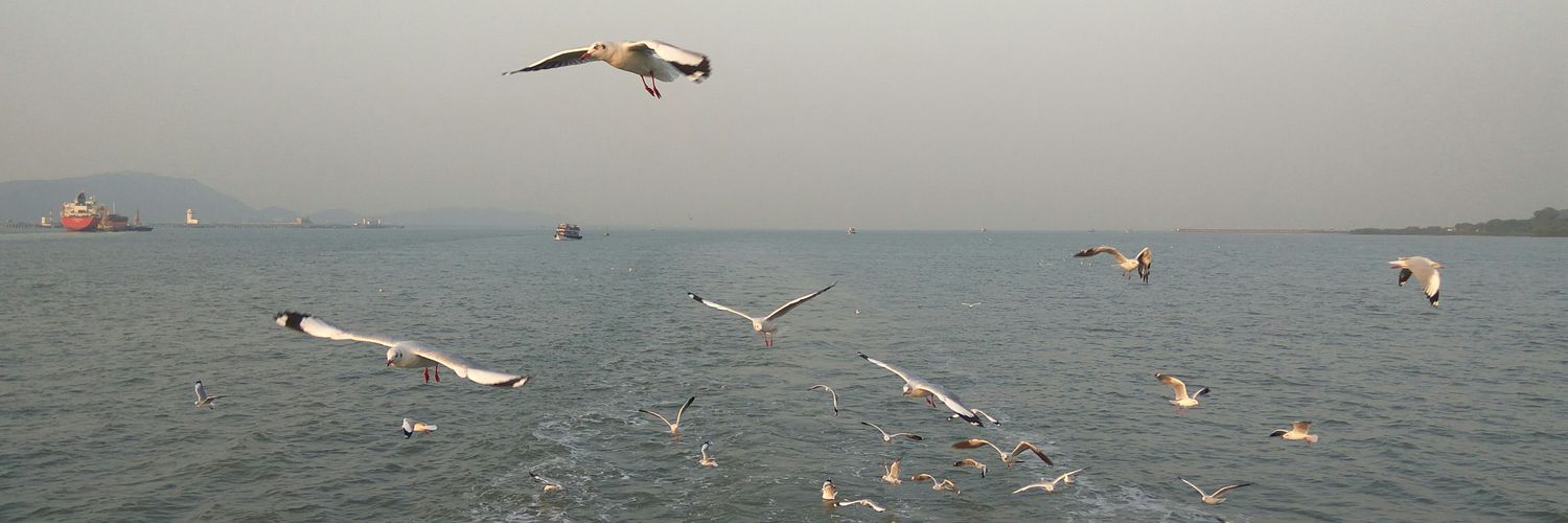 penofSUMIT's profile banner image