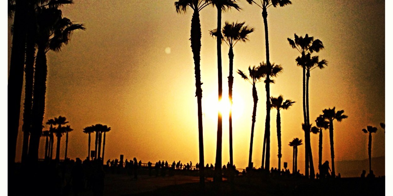 Mikey_SB1's profile banner image