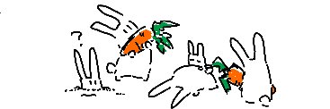 shark_Meg4's profile banner image