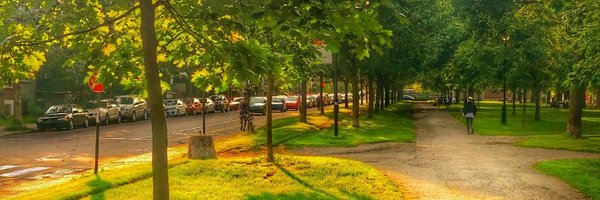 Zexxia Profile Banner